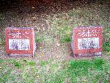 image of grave number 257092